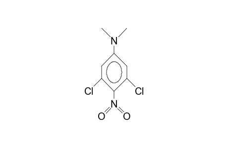 3,5-Dichloro-N,N-dimethyl-4-nitro-aniline