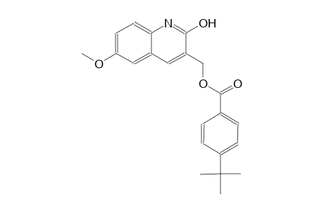 (2-hydroxy-6-methoxy-3-quinolinyl)methyl 4-tert-butylbenzoate