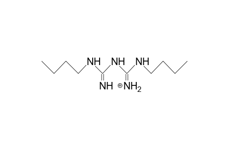 N,N'-Dibutyl-biguanidinium cation