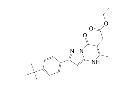 pyrazolo[1,5-a]pyrimidine-6-acetic acid, 2-[4-(1,1-dimethylethyl)phenyl]-4,7-dihydro-5-methyl-7-oxo-, ethyl ester