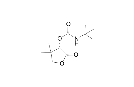 (S)-3-tert-Butylaminocarbonyloxy-dihydro-4,4-dimethyl-2(3H)-furanone