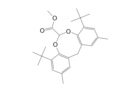 4,8-DI-tert-BUTYL-2,10-DIMETHYL-12H-DIBENZO[d,g][1,3]DIOXOCIN-6-CARBOXYLIC ACID, METHYL ESTER