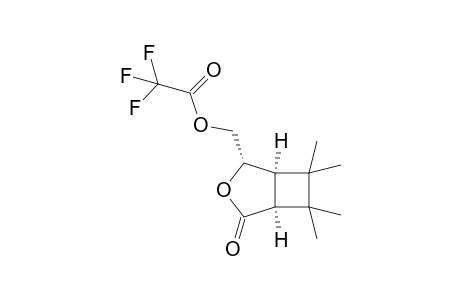 [(1R,2S,5S)-6,6,7,7-tetramethyl-4-oxidanylidene-3-oxabicyclo[3.2.0]heptan-2-yl]methyl 2,2,2-tris(fluoranyl)ethanoate