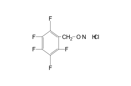 O-(2,3,4,5,6-Pentafluorobenzyl)hydroxylamine hydrochloride