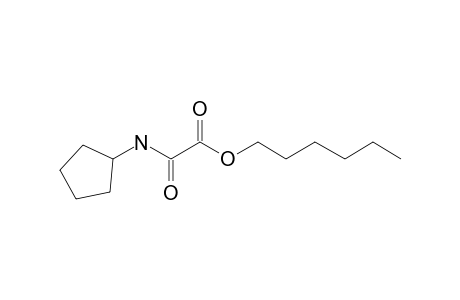 Oxalic acid, monoamide, N-cyclopentyl-, hexyl ester