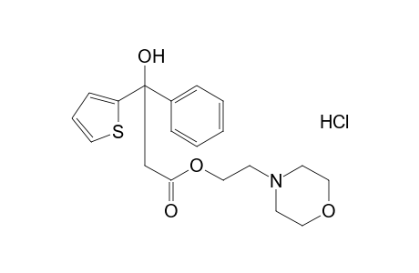 beta-phenyl-2-thiophenehydracrylic acid, 2-morpholinoethyl ester, hydrochloride