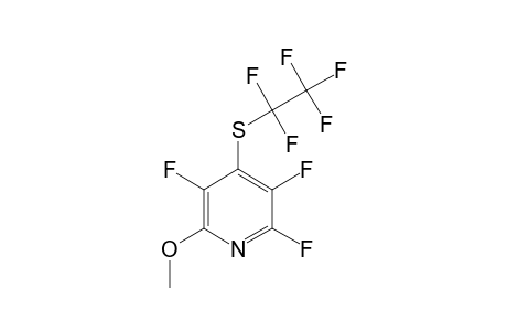 2-METHOXY-4-PENTAFLUOROETHYLTHIO-3,5,6-TRIFLUOROPYRIDINE