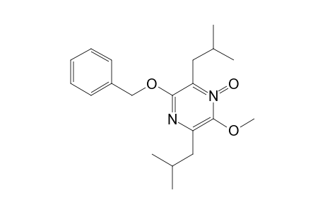 2-BENZYLOXY-3,6-DIISOBUTYL-5-METHOXYPYRAZINE-4-OXIDE