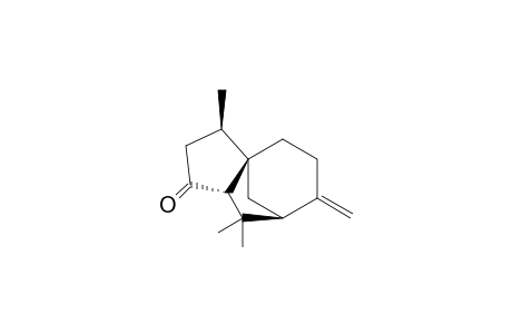 Biotone<beta->