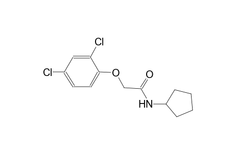 N-cyclopentyl-2-(2,4-dichlorophenoxy)acetamide