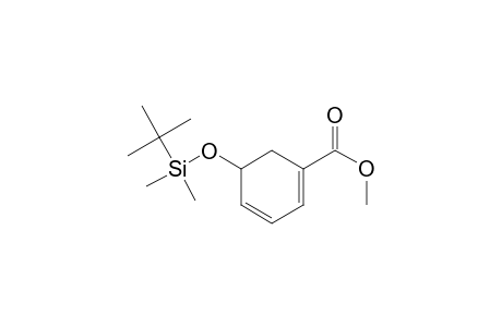5-[tert-butyl(dimethyl)silyl]oxy-1-cyclohexa-1,3-dienecarboxylic acid methyl ester