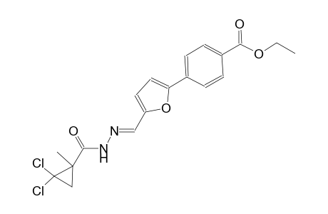 ethyl 4-[5-((E)-{[(2,2-dichloro-1-methylcyclopropyl)carbonyl]hydrazono}methyl)-2-furyl]benzoate