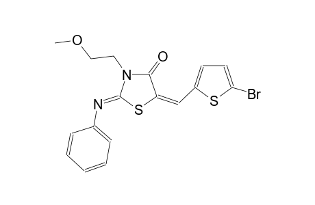 (2Z,5E)-5-[(5-bromo-2-thienyl)methylene]-3-(2-methoxyethyl)-2-(phenylimino)-1,3-thiazolidin-4-one