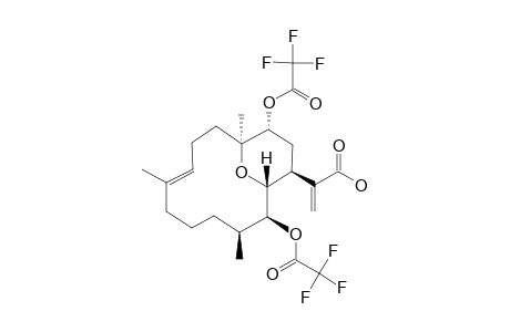 2-[(1S,4E,9S,10S,11R,12S,14R)-1,5,9-trimethyl-10,14-bis[(2,2,2-trifluoroacetyl)oxy]-15-oxabicyclo[9.3.1]pentadec-4-en-12-yl]acrylic acid