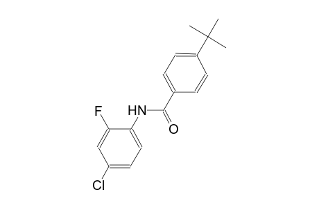 4-tert-butyl-N-(4-chloro-2-fluorophenyl)benzamide