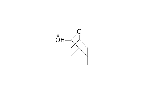 2-Methyl-cyclohexanecarboxylic acid, 1,4-lactone cation