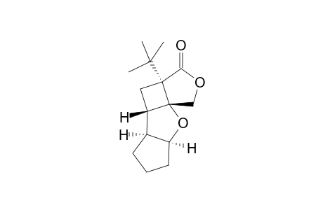 10-tert-Butyl-2,12-dioxatetracyclo[6.5.0.0(3,7).0(1,10)]tridecan-11-one isomer