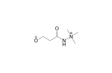 Hydrazinium, 2-(3-hydroxy-1-oxopropyl)-1,1,1-trimethyl-, hydroxide, inner salt
