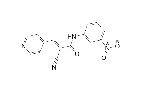 (2E)-2-cyano-N-(3-nitrophenyl)-3-(4-pyridinyl)-2-propenamide