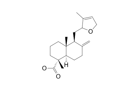 12,15-Epoxy-8(17),13-labdadien-18-oic acid