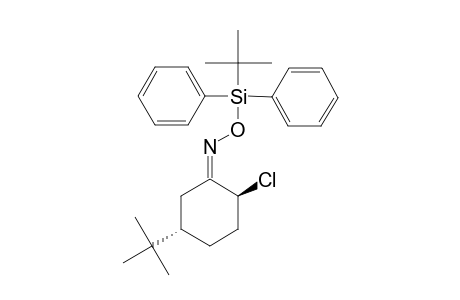 (E)-cis-2-Chloro-5-(1,1-dimethylethyl)cyclohexanone O-tert-Butyldiphenylsilyl)oxime