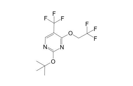 2-tert-butoxy-4-(2,2,2-trifluoroethoxy)-5-(trifluoromethyl)pyrimidine