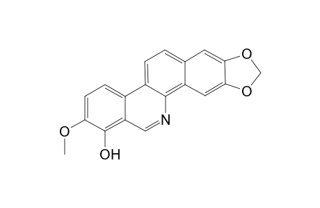 Isodecarine