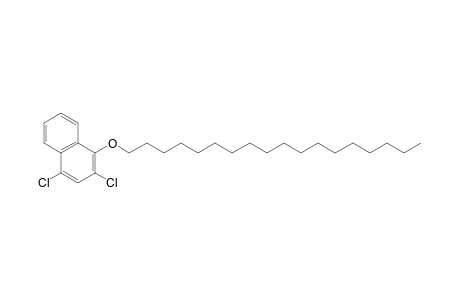 2,4-Dichloronaphth-1-yl octadecyl ether
