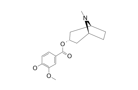 CONCEORINE