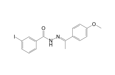 3-iodanyl-N-[(E)-1-(4-methoxyphenyl)ethylideneamino]benzamide