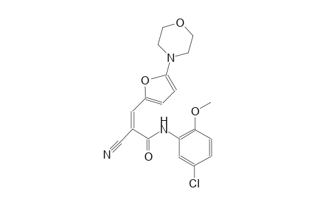 (2Z)-N-(5-chloro-2-methoxyphenyl)-2-cyano-3-[5-(4-morpholinyl)-2-furyl]-2-propenamide