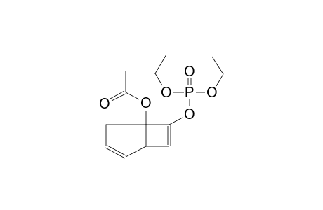 (5-ACETOXYBICYCLO[3.2.0]HEPTA-3,6-DIEN-6-YL)DIETHYLPHOSPHATE