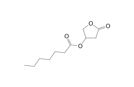 Heptanoylcarnitine oxylactone