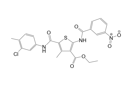 3-thiophenecarboxylic acid, 5-[[(3-chloro-4-methylphenyl)amino]carbonyl]-4-methyl-2-[(3-nitrobenzoyl)amino]-, ethyl ester