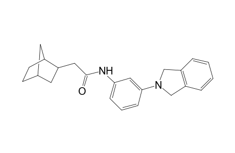 2-{bicyclo[2.2.1]heptan-2-yl}-N-[3-(2,3-dihydro-1H-isoindol-2-yl)phenyl]acetamide