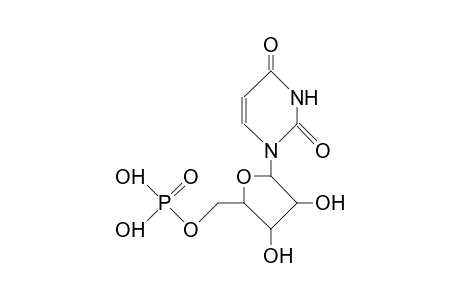 Uridine-mono-phosphate