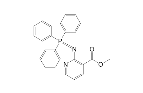 2-(triphenylphosphoranylideneamino)-3-pyridinecarboxylic acid methyl ester