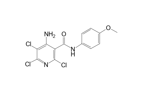 4-Amino-2,5,6-trichloro-N-(4-methoxy-phenyl)-nicotinamide