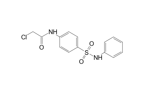 2-chloro-4'-(phenylsulfamoyl)acetanilide