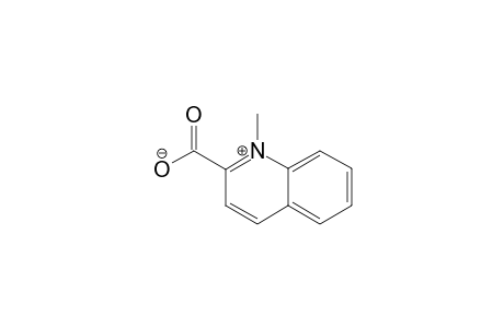 N-METHYLQUINOLINIUM-2-CARBOXYLATE