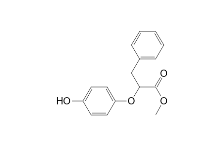 Methyl 2-(4-hydroxyphenyloxy)-3-phenylpropanoate