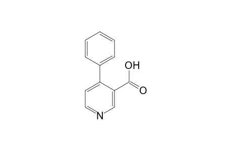 4-Phenyl-3-nicotinic acid