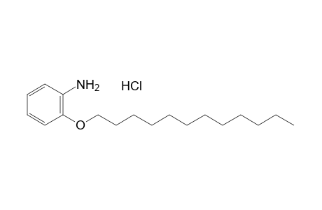 o-(dodecyloxy)aniline, hydrochloride
