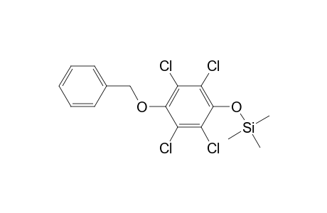 (4-benzoxy-2,3,5,6-tetrachloro-phenoxy)-trimethyl-silane