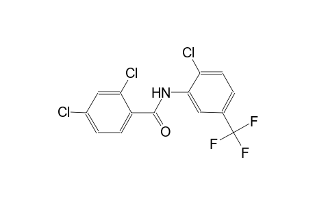 2,4-dichloro-N-[2-chloro-5-(trifluoromethyl)phenyl]benzamide
