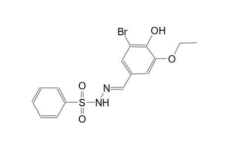 N'-[(E)-(3-bromo-5-ethoxy-4-hydroxyphenyl)methylidene]benzenesulfonohydrazide