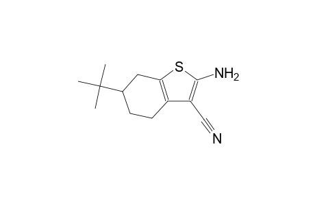 2-Amino-6-tert-butyl-4,5,6,7-tetrahydro-1-benzothiophene-3-carbonitrile