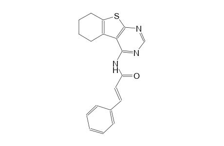 (2E)-3-phenyl-N-(5,6,7,8-tetrahydro[1]benzothieno[2,3-d]pyrimidin-4-yl)-2-propenamide