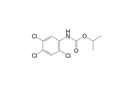 2,4,5-trichlorocarbanilic acid, isopropyl ester