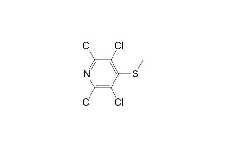 2,3,5,6-tetrachloro-4-(methylsulfanyl)pyridine